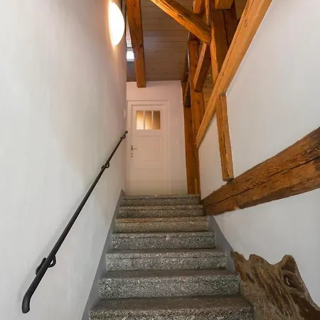 Mlyn Salajna Appartement Dolni Zandov Buitenkant foto