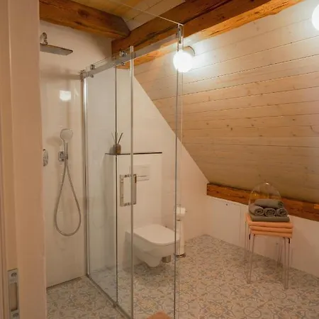 Mlyn Salajna Appartement Dolni Zandov Buitenkant foto