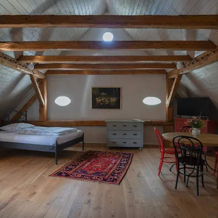 Mlyn Salajna Appartement Dolni Zandov Buitenkant foto