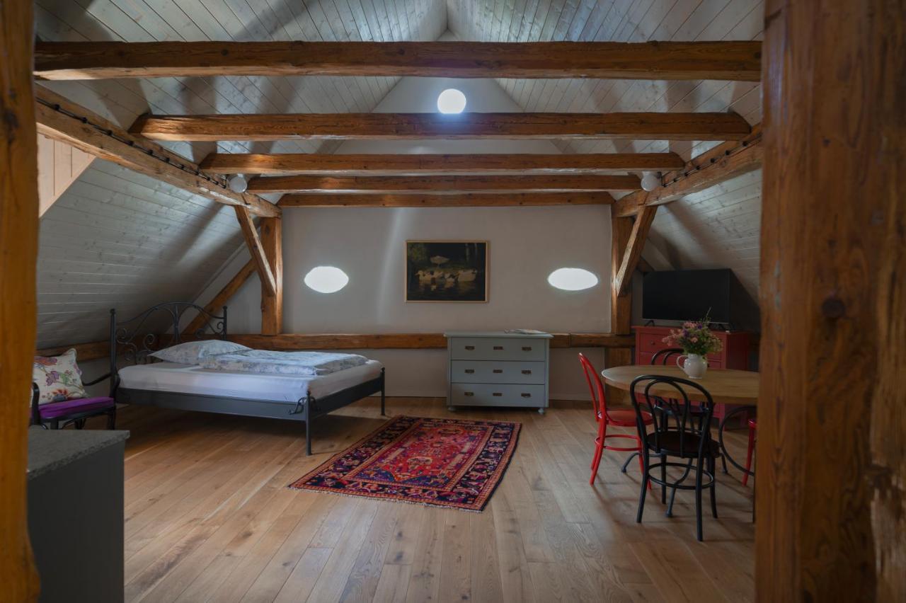 Mlyn Salajna Apartment *